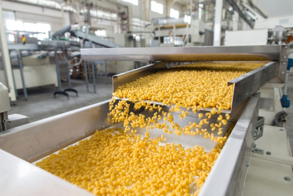 Food-grade conveyor belt carrying pasta during production.